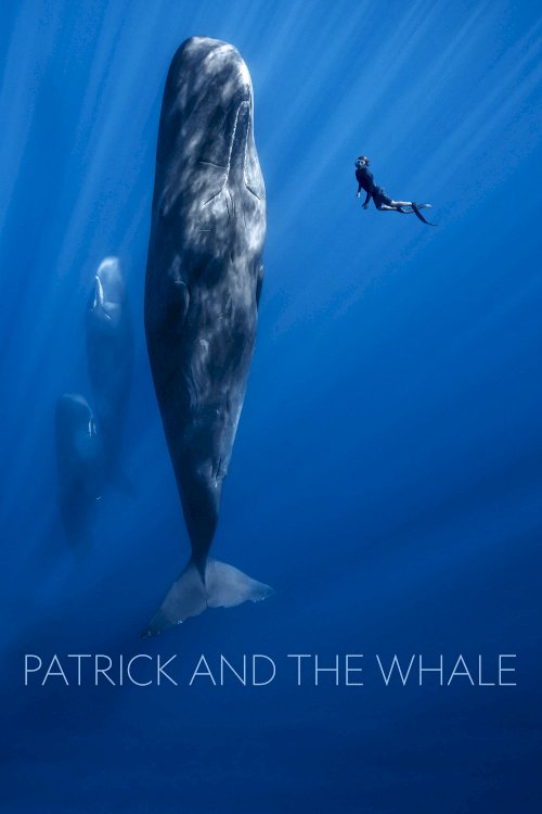 Patrick and the Whale