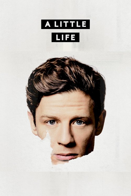 A Little Life A Little Life