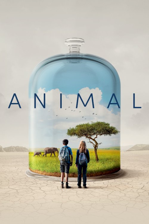 Animal Animal