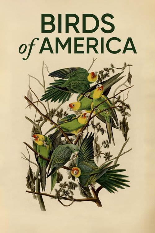 Birds of America Birds of America