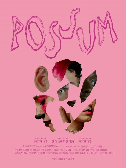 POSSUM POSSUM