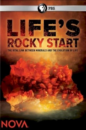 NOVA: Life's Rocky Start NOVA: Life's Rocky Start