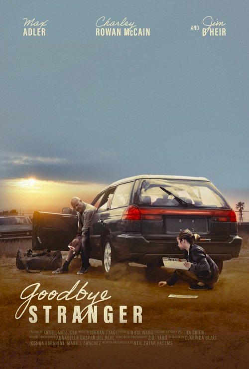 Goodbye Stranger Goodbye Stranger