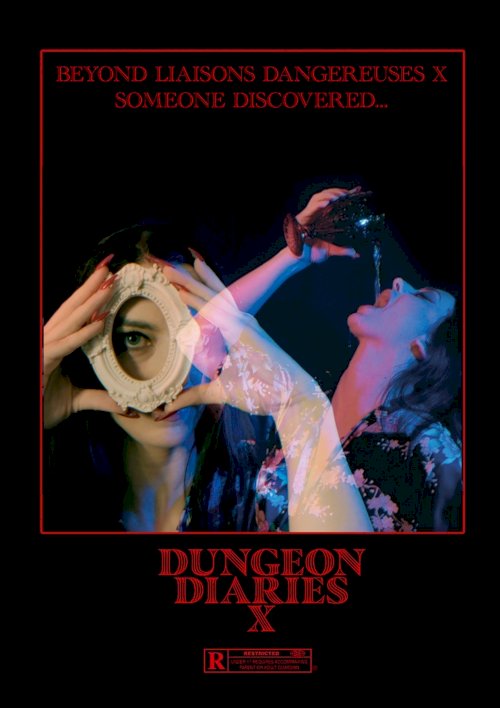 Dungeon Diaries X Dungeon Diaries X