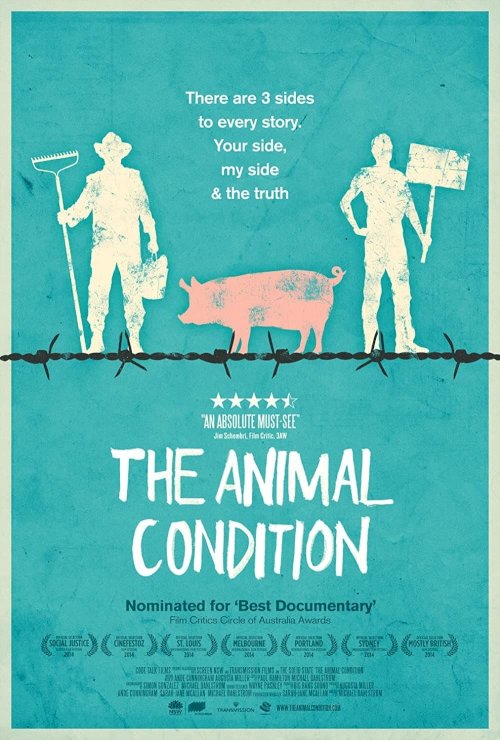 The Animal Condition The Animal Condition
