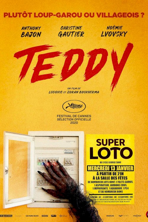 Teddy Teddy