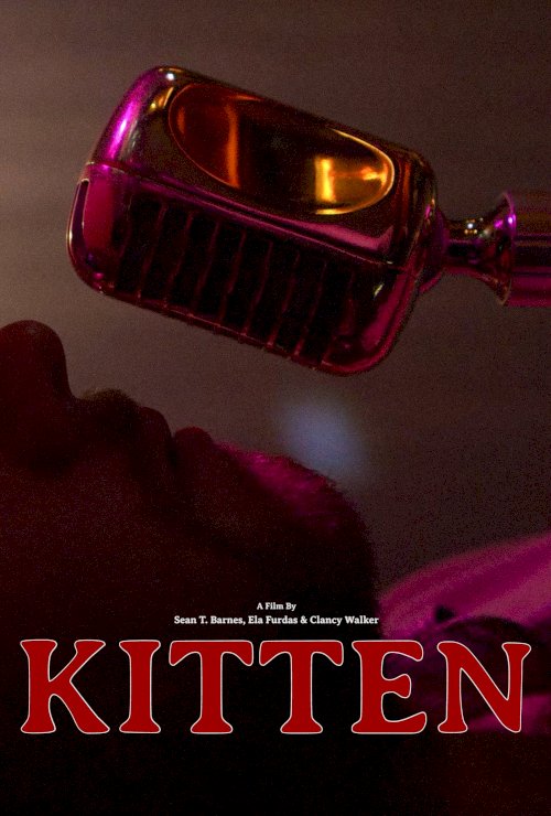 Kitten Kitten
