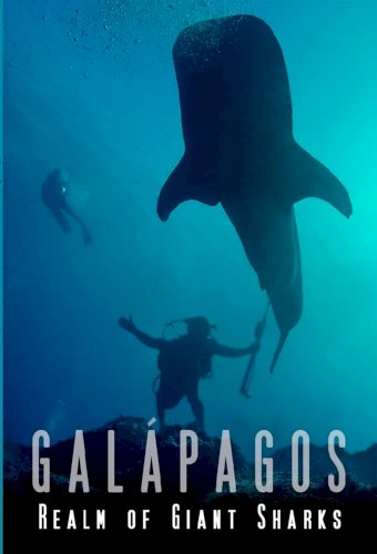 Galapagos Realm Of Giant Sharks Galapagos Realm Of Giant Sharks
