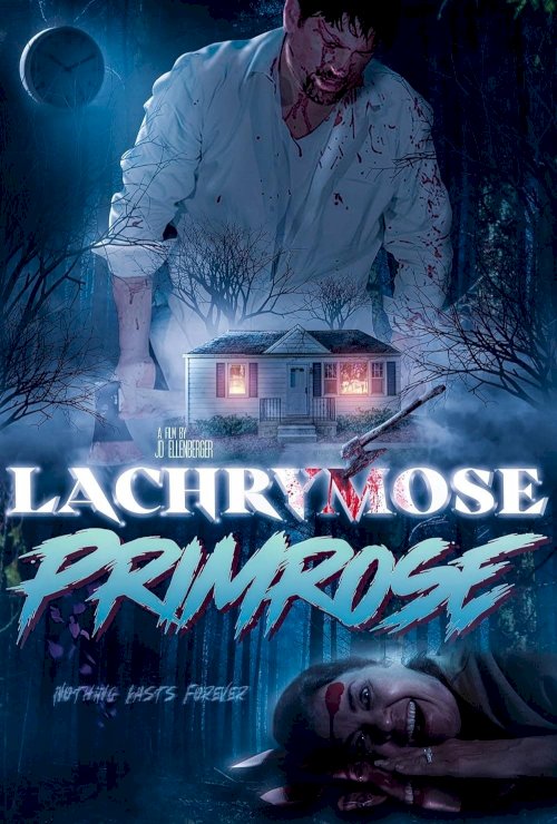 Lachrymose Primrose