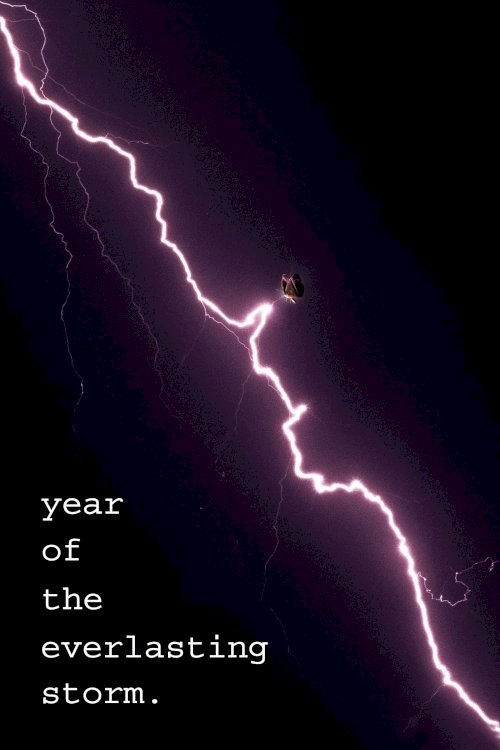 The Year of the Everlasting Storm The Year of the Everlasting Storm