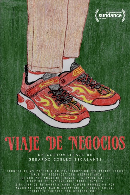 Viaje de Negocios Viaje de Negocios