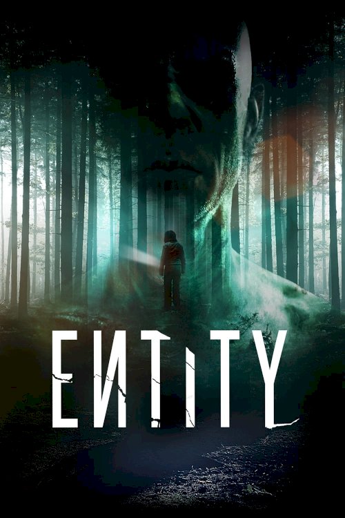 Entity Entity