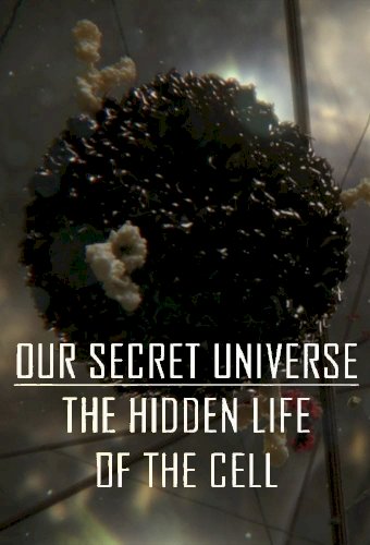 Our Secret Universe: The Hidden Life of the Cell Our Secret Universe: The Hidden Life of the Cell