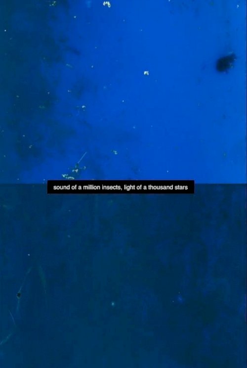 Sound of a Million Insects, Light of a Thousand Stars Sound of a Million Insects, Light of a Thousand Stars