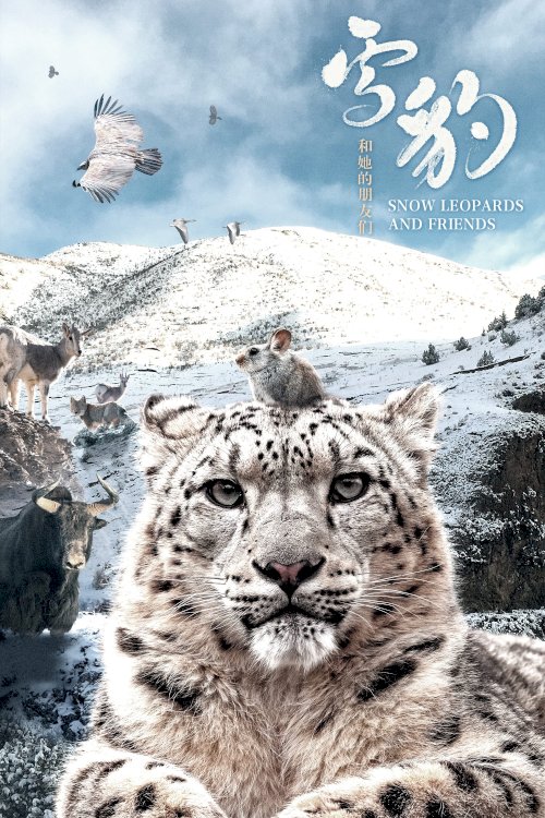 Snow Leopards and Friends Snow Leopards and Friends