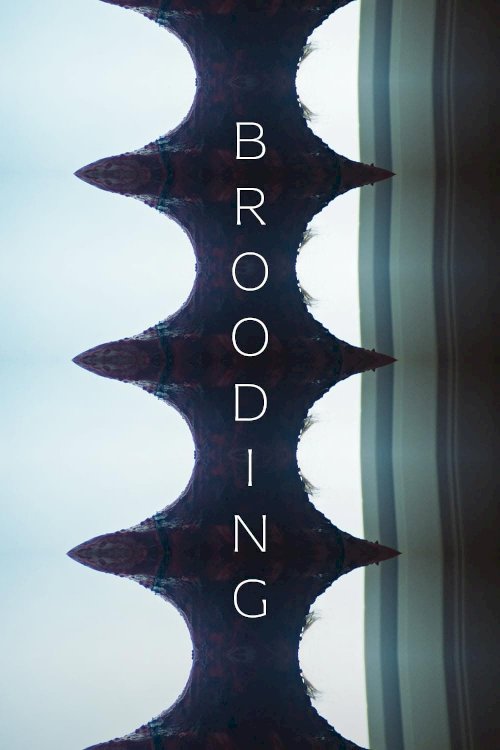 Brooding Brooding