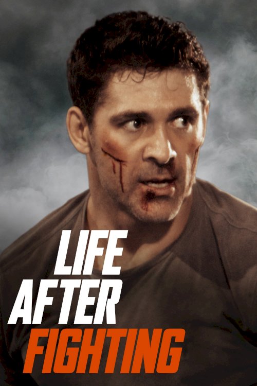 Life After Fighting Life After Fighting