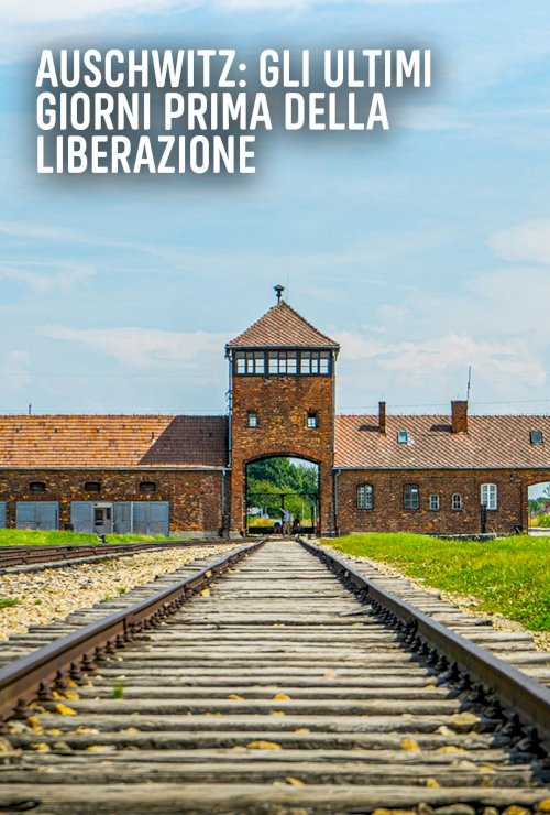 Auschwitz: Countdown to Liberation Auschwitz: Countdown to Liberation