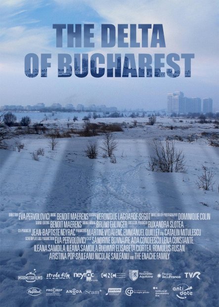 The Delta of Bucharest The Delta of Bucharest