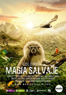 Colombia: Wild Magic