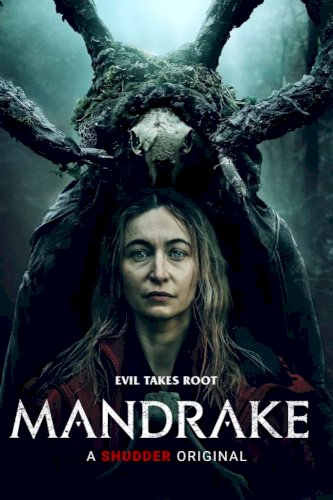 Mandrake Mandrake
