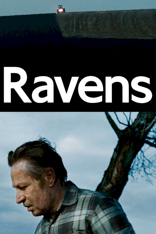 Ravens Ravens
