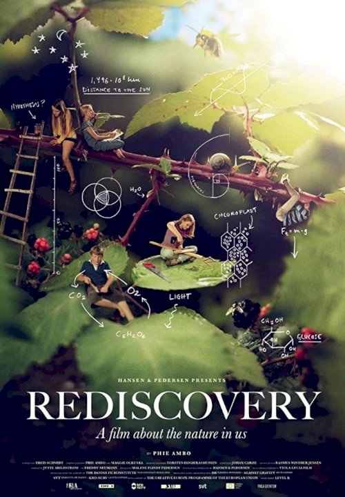 Rediscovery Rediscovery