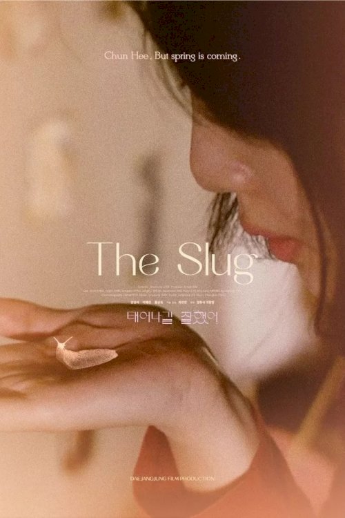 The Slug The Slug
