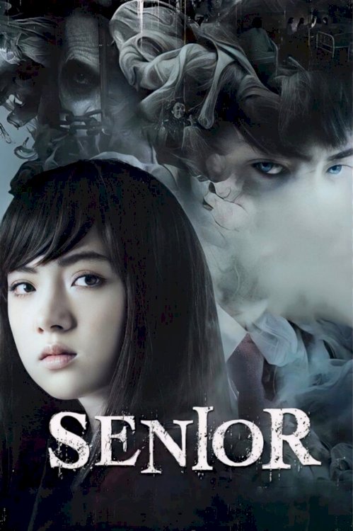 Senior Senior