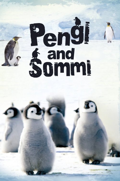 Pengi and Sommi Pengi and Sommi