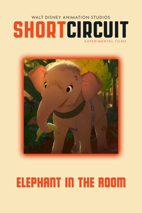 Elephant in the Room Elephant in the Room