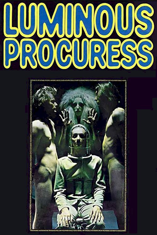 Luminous Procuress Luminous Procuress
