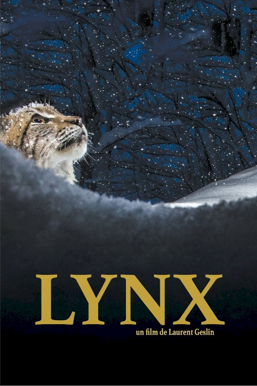 Lynx Lynx