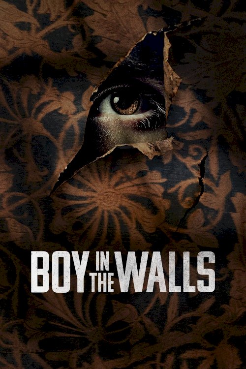 Boy in the Walls Boy in the Walls