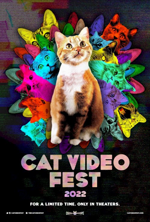 CatVideoFest 2022 CatVideoFest 2022