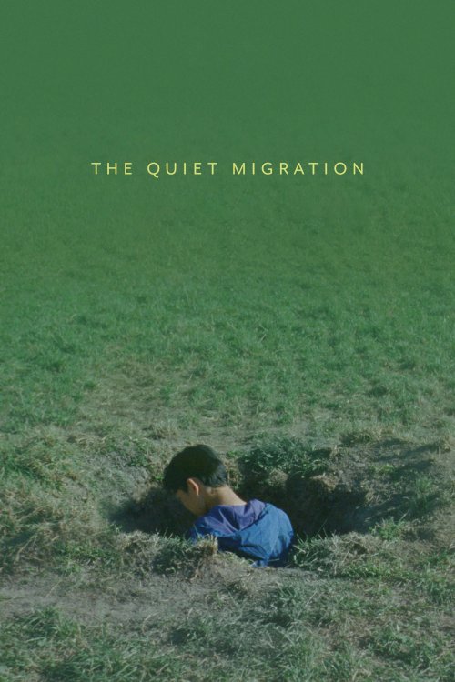 The Quiet Migration The Quiet Migration