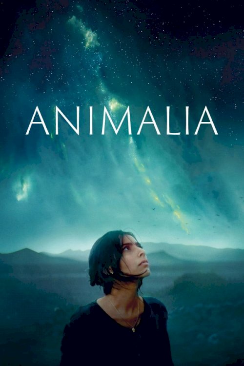 Animalia Animalia