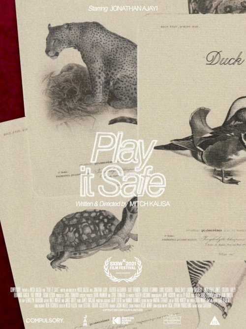 Play It Safe Play It Safe