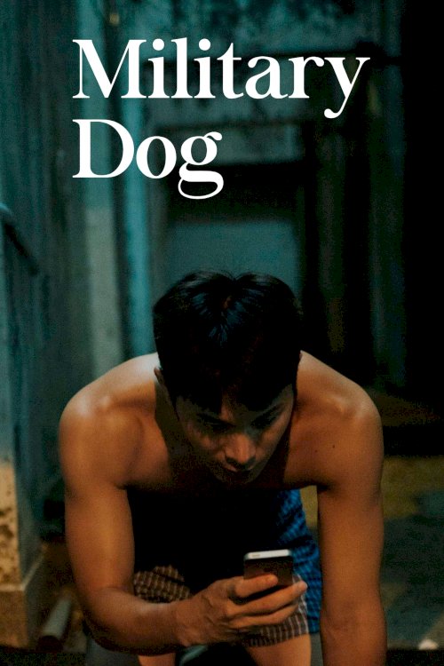 Military Dog