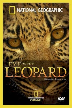 Eye of the Leopard Eye of the Leopard