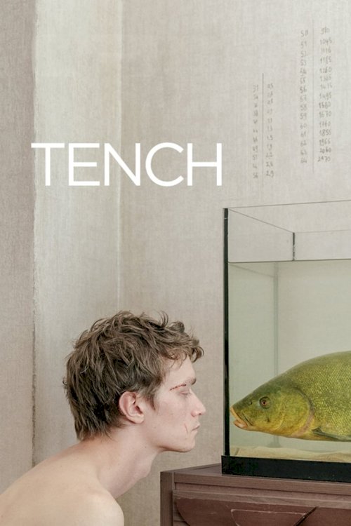 Tench Tench