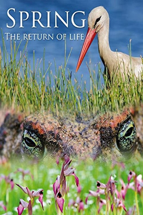 Spring: The Return of Life Spring: The Return of Life
