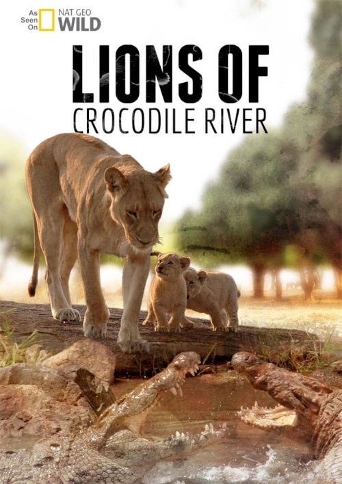 Lions of Crocodile River Lions of Crocodile River