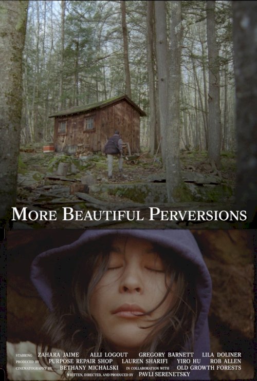 More Beautiful Perversions More Beautiful Perversions