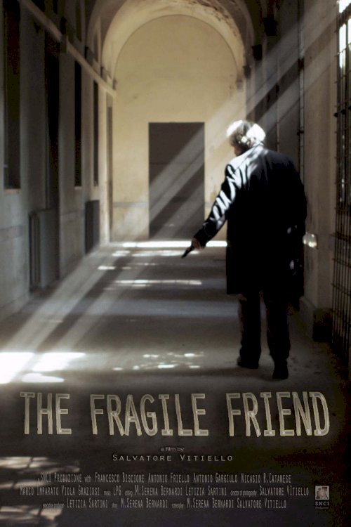 The Fragile Friend The Fragile Friend
