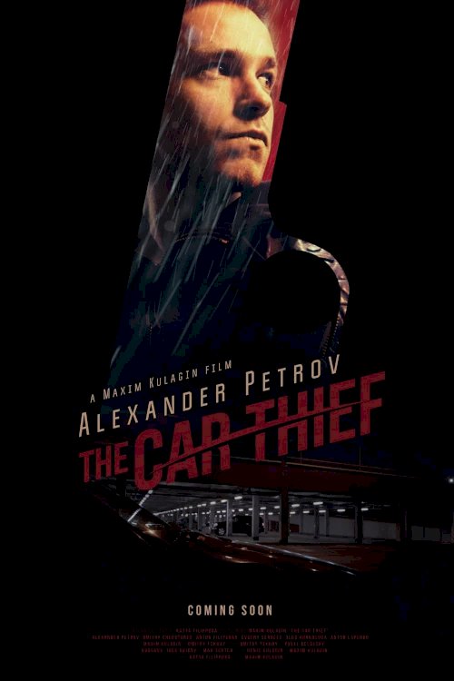 The Car Thief