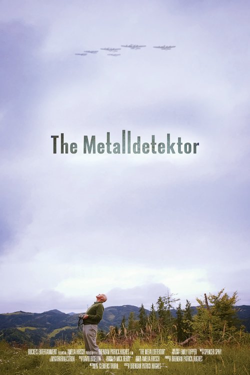 The Metal Detector The Metal Detector