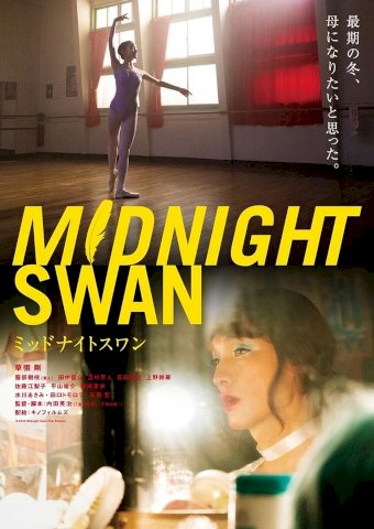 Midnight Swan Midnight Swan
