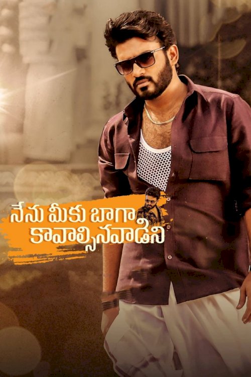 Nenu Meeku Baaga Kavalsinavaadini Nenu Meeku Baaga Kavalsinavaadini