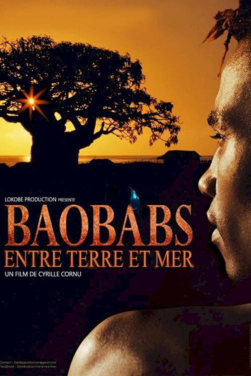 Baobabs between Land and Sea Baobabs between Land and Sea